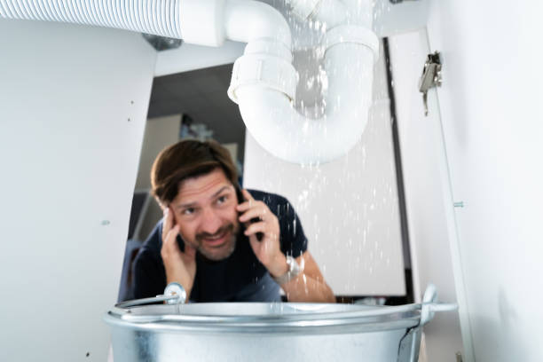 Best Plumbing Services Near Me  in Lake Ozark, MO