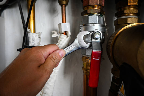Best Commercial Plumbing Services  in Lake Ozark, MO